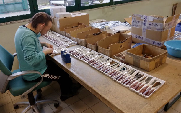 Foto dei ragazzi al lavoro