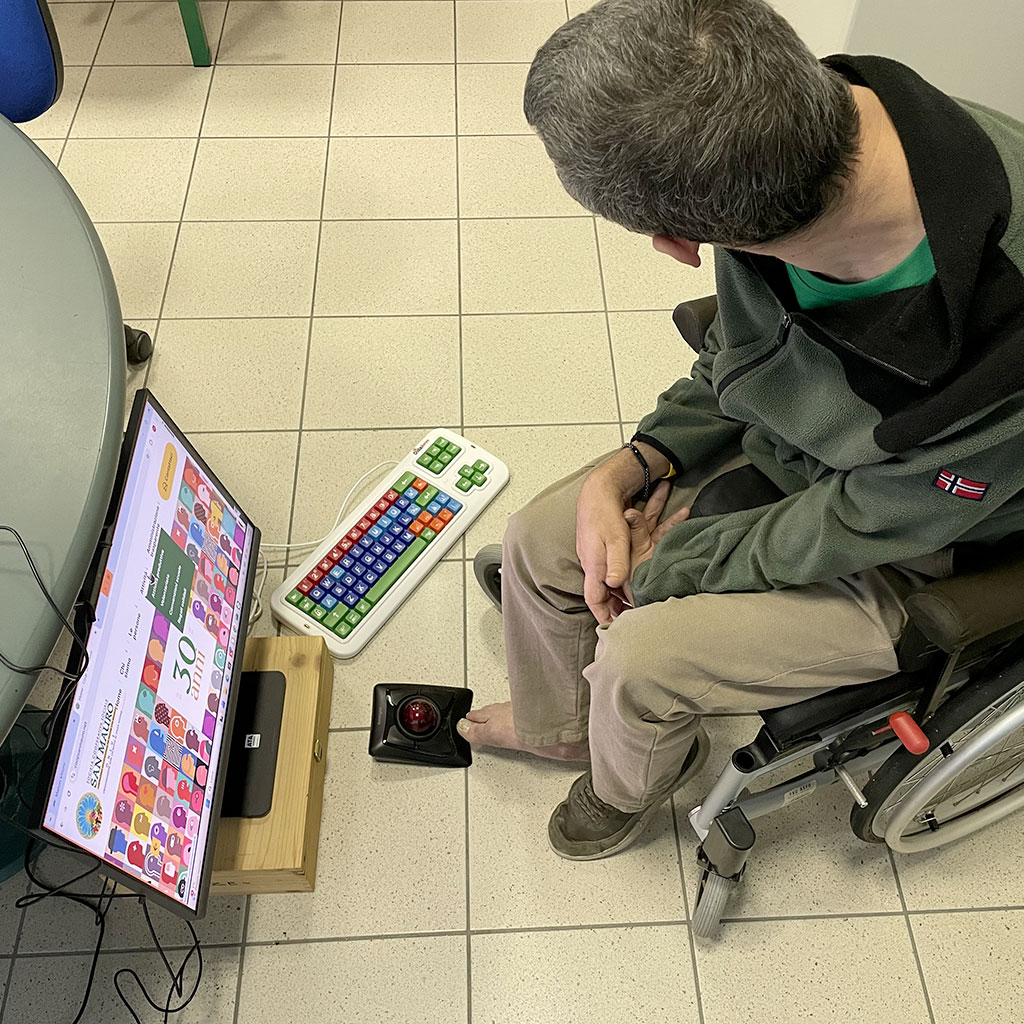 Test dei siti web tramite tecnologie assistive per persone con disabilità motorie